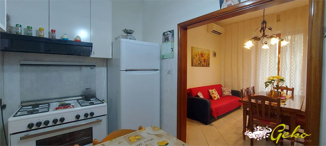 Foto annuncio 7