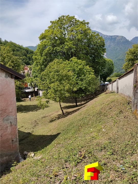 Foto annuncio 7