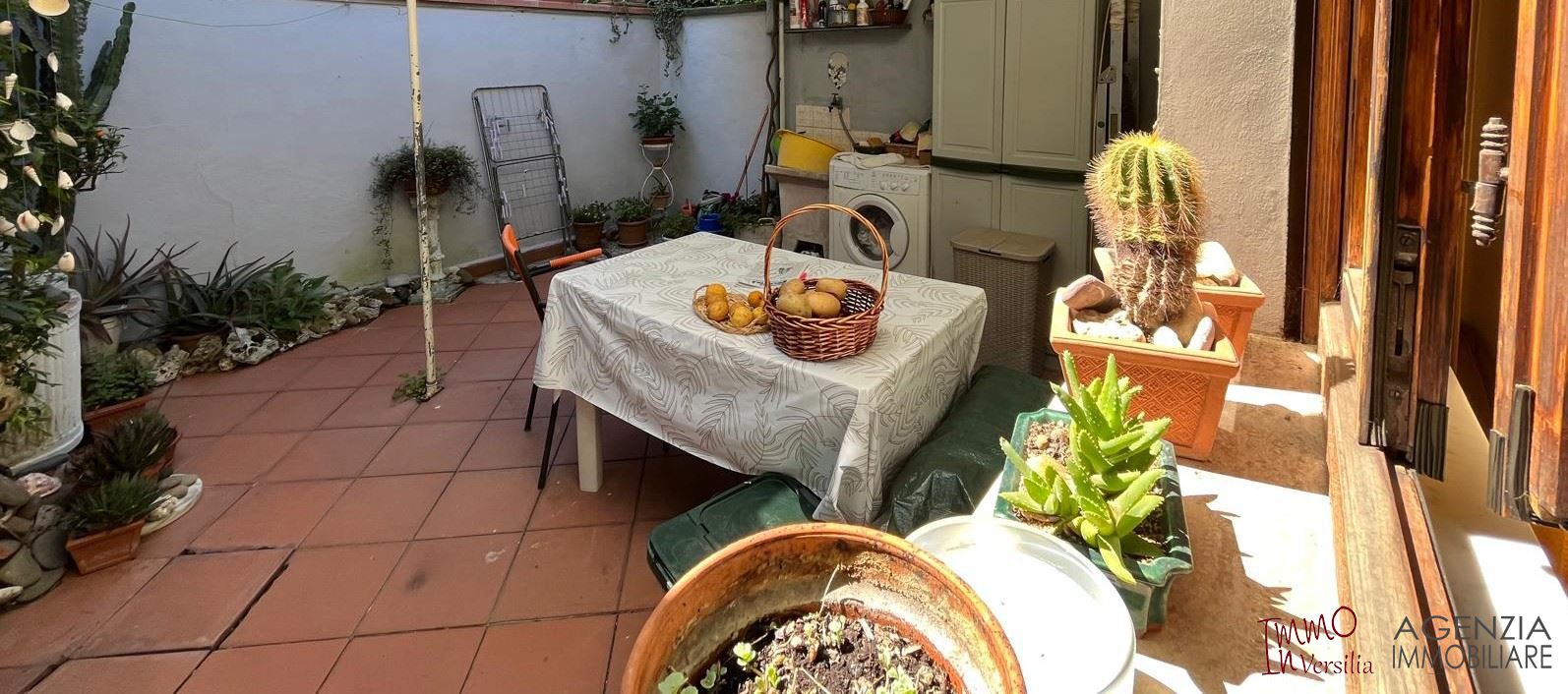 Foto annuncio 8