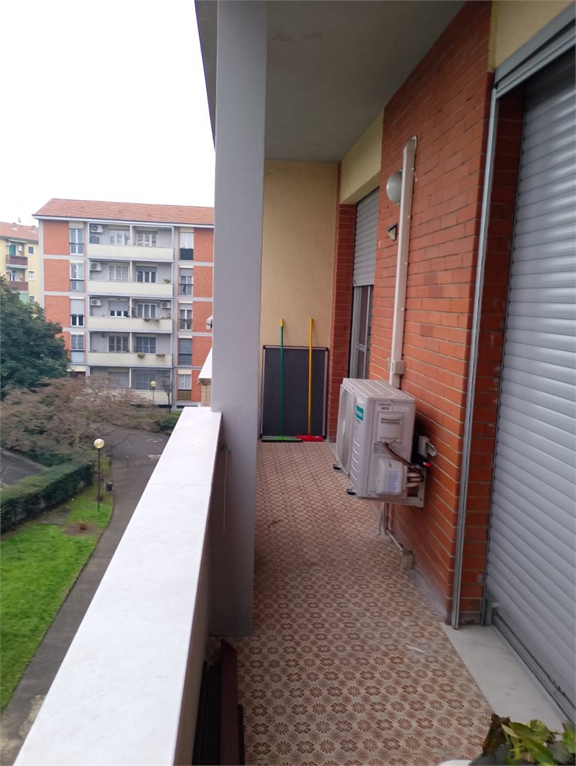 Foto annuncio 7