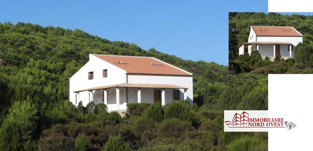 Foto annuncio 4