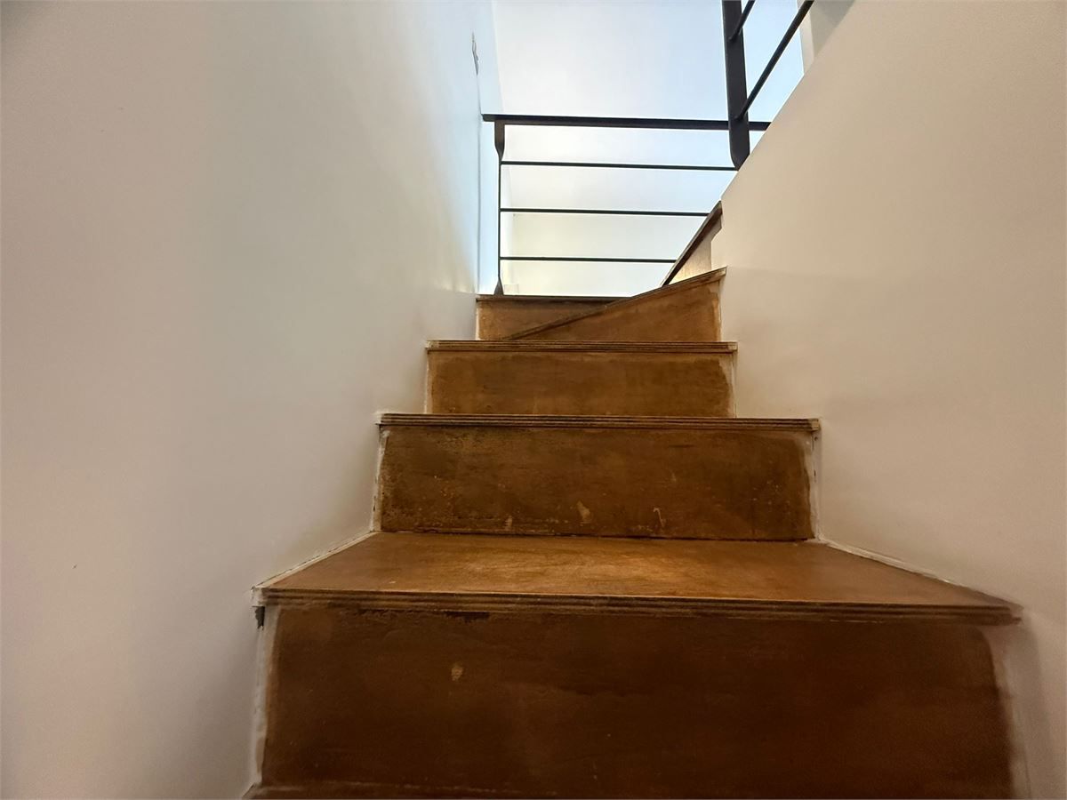 Foto annuncio 4