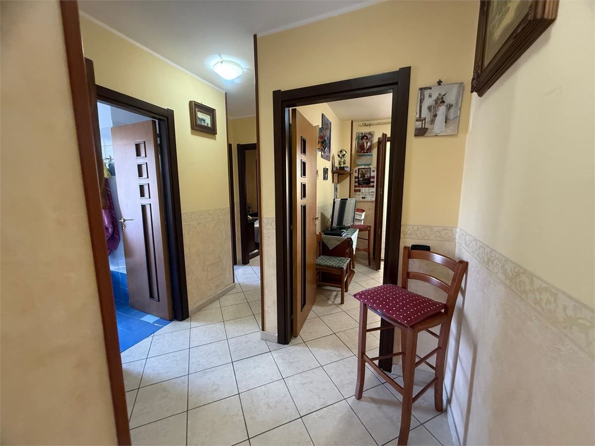 Foto annuncio 8
