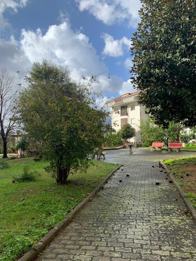 Foto annuncio 1
