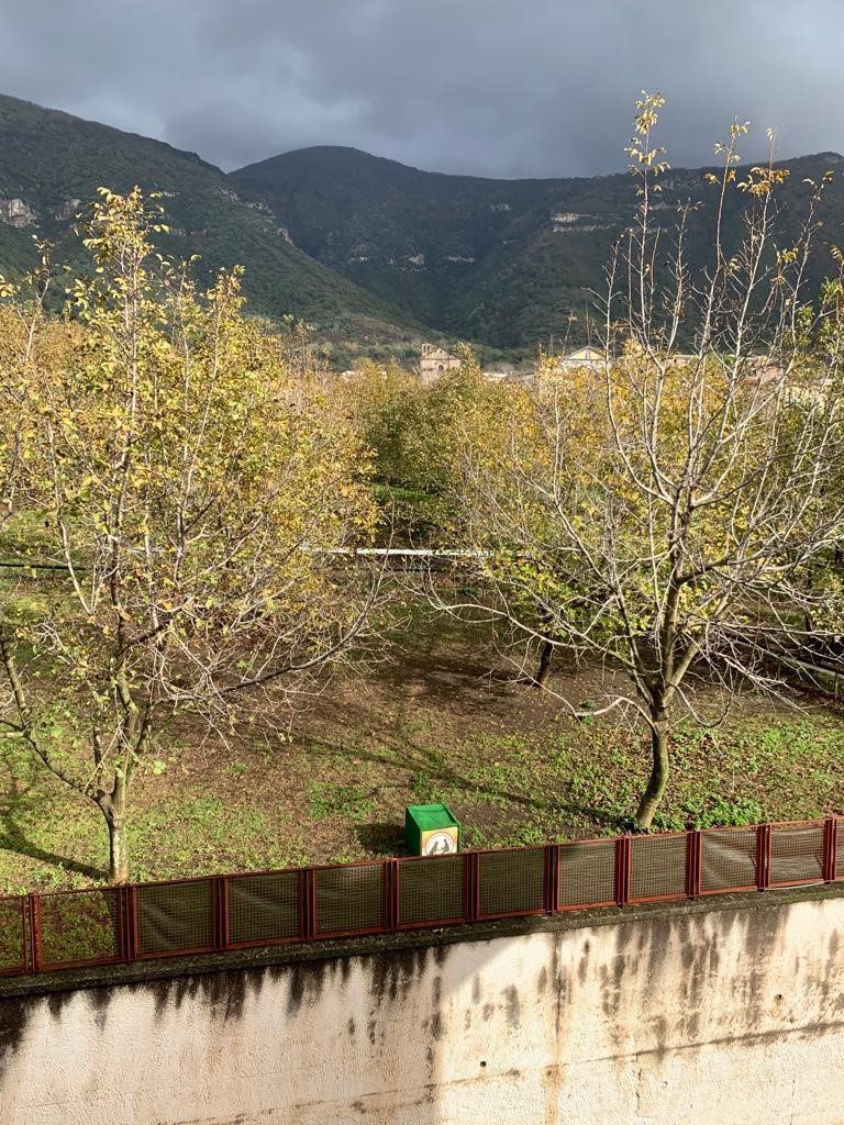 Foto annuncio 10