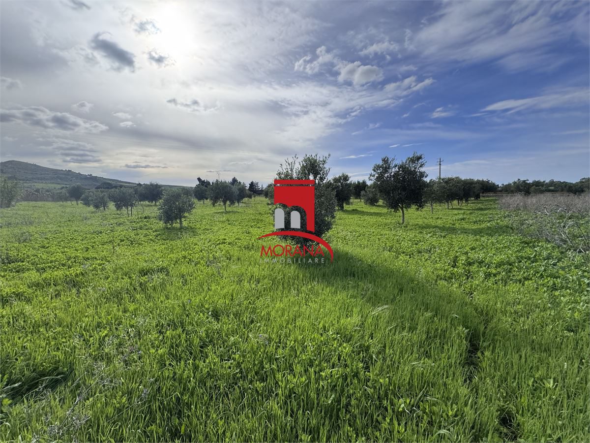 Foto annuncio 5