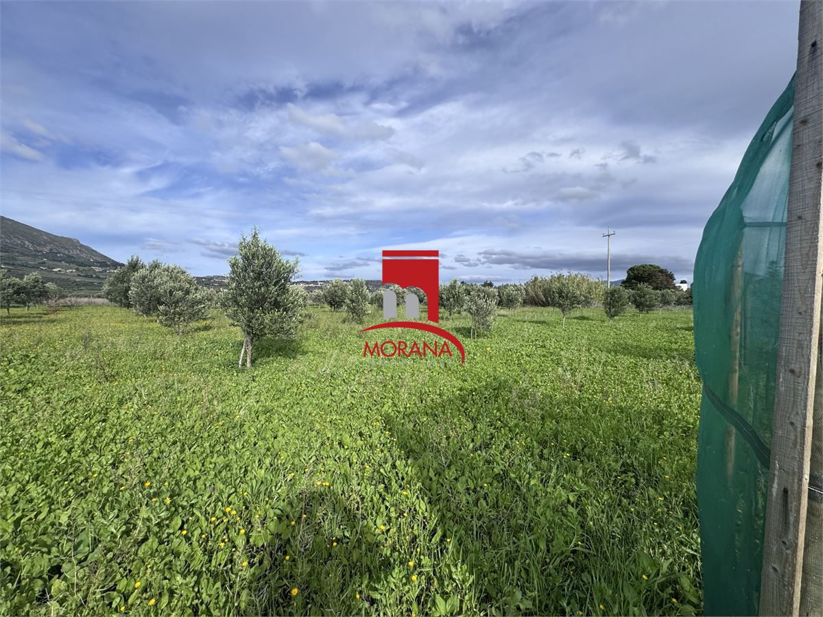 Foto annuncio 8