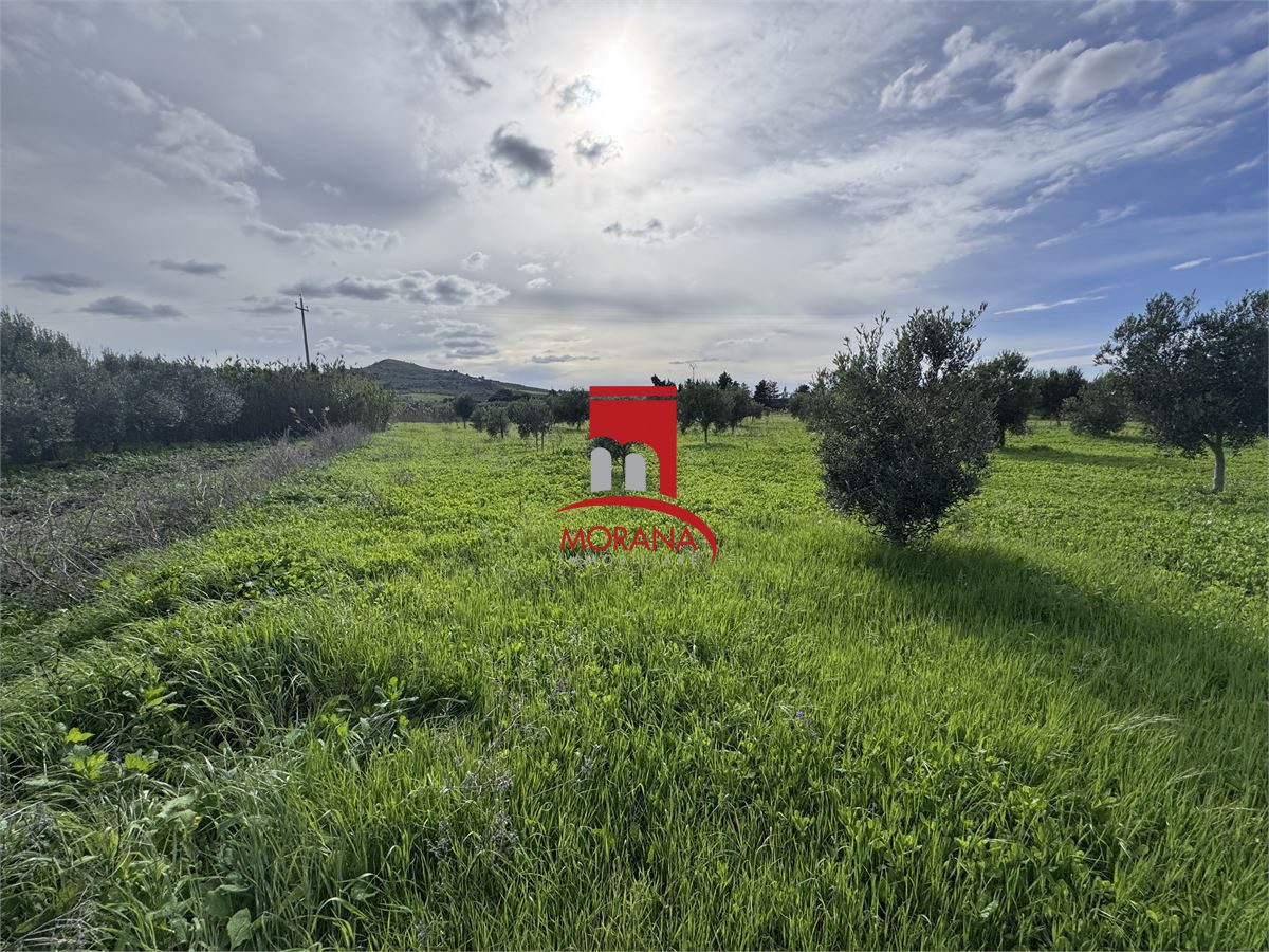 Foto annuncio 9