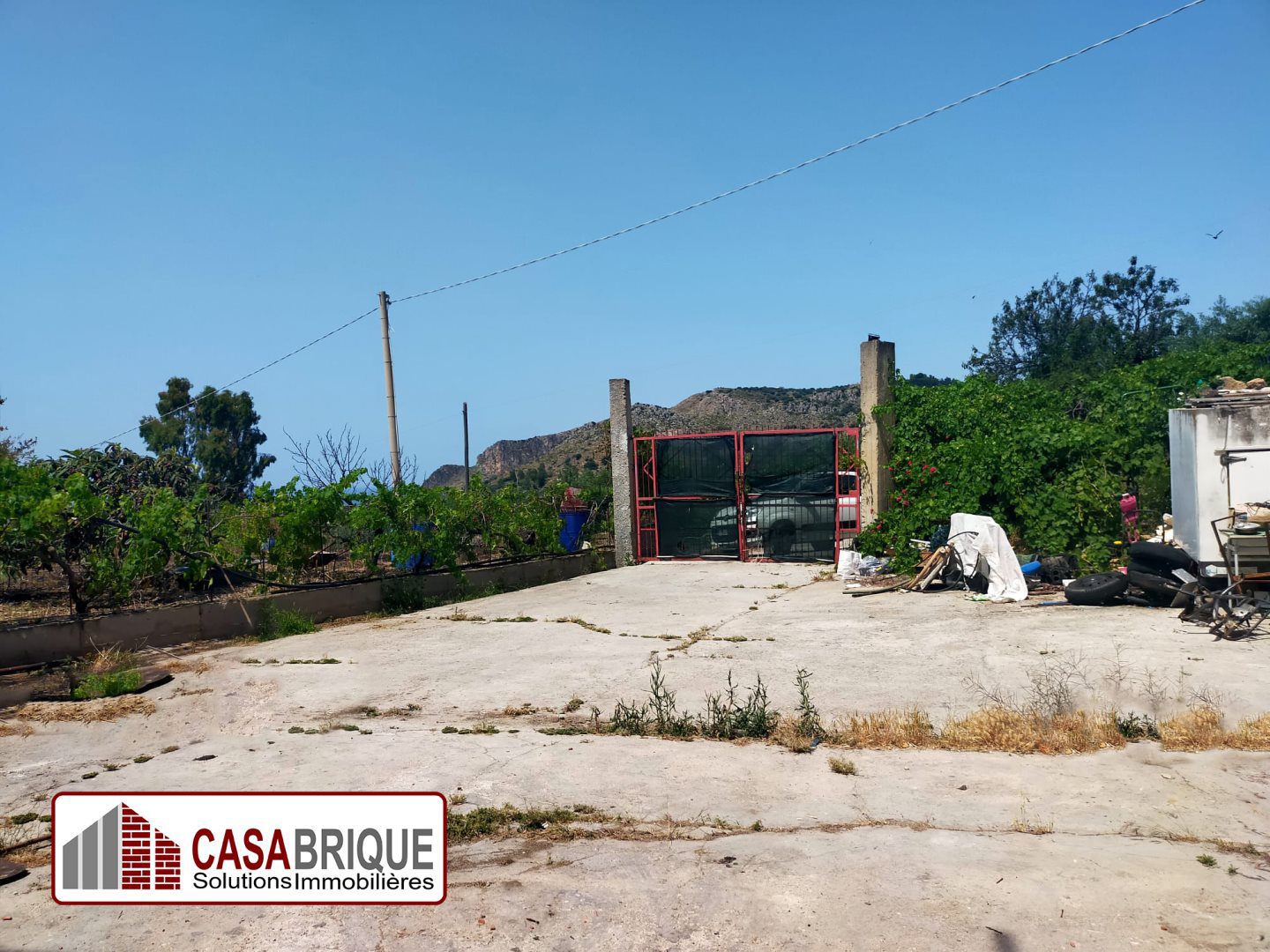 Foto annuncio 10