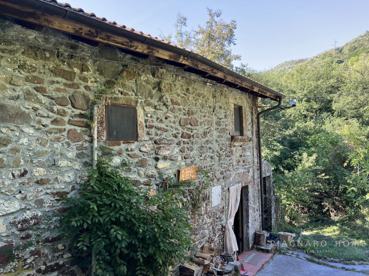 Foto annuncio 1