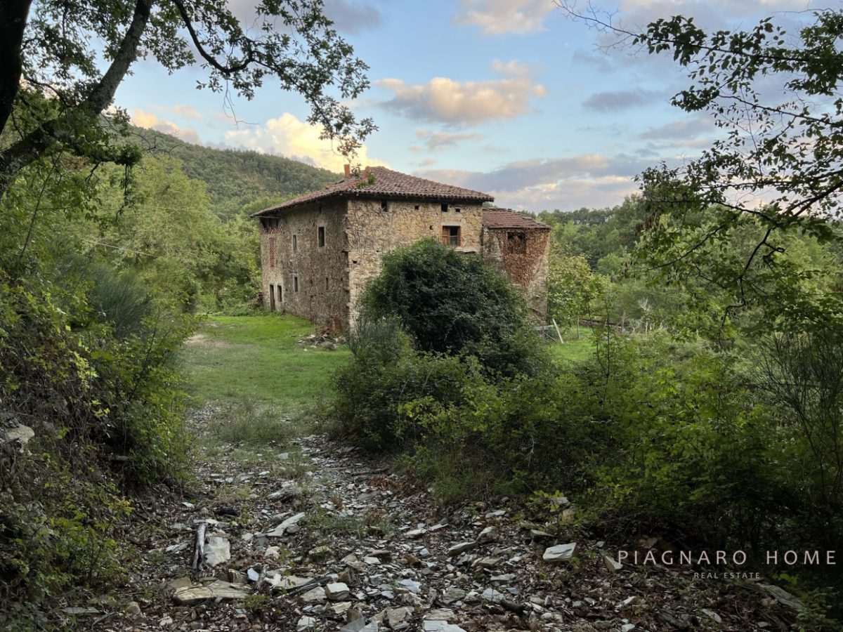 Foto annuncio 1