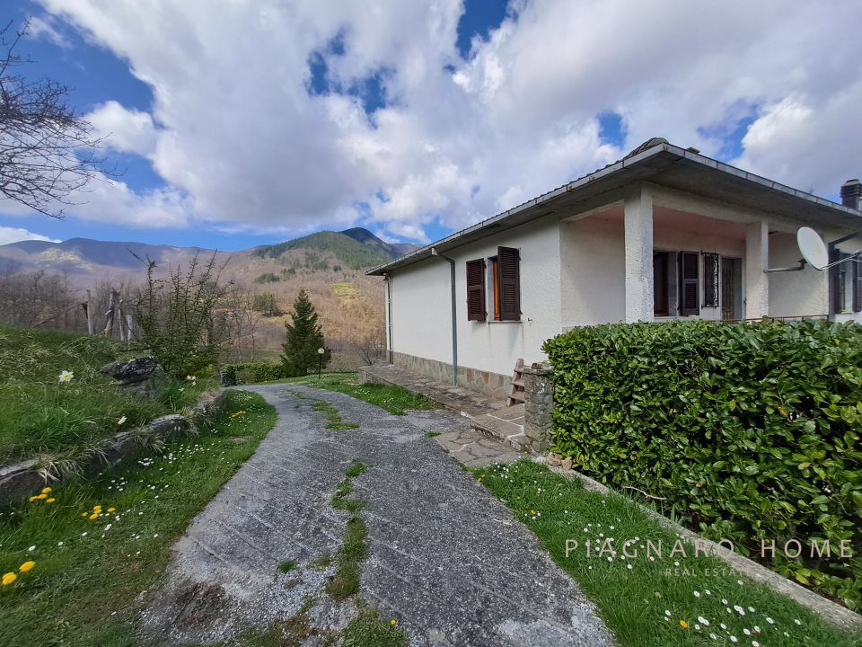 Foto annuncio 1