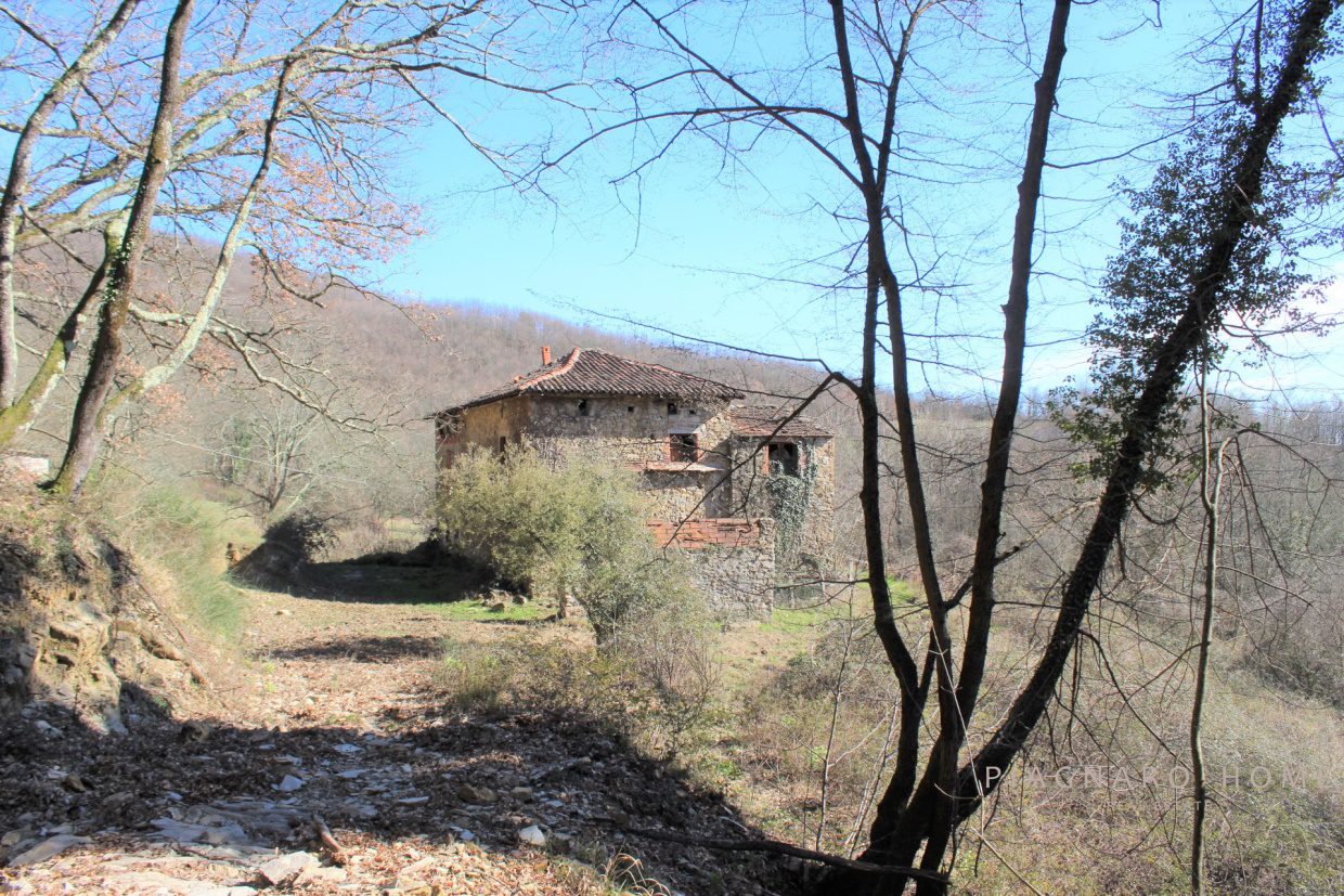 Foto annuncio 6
