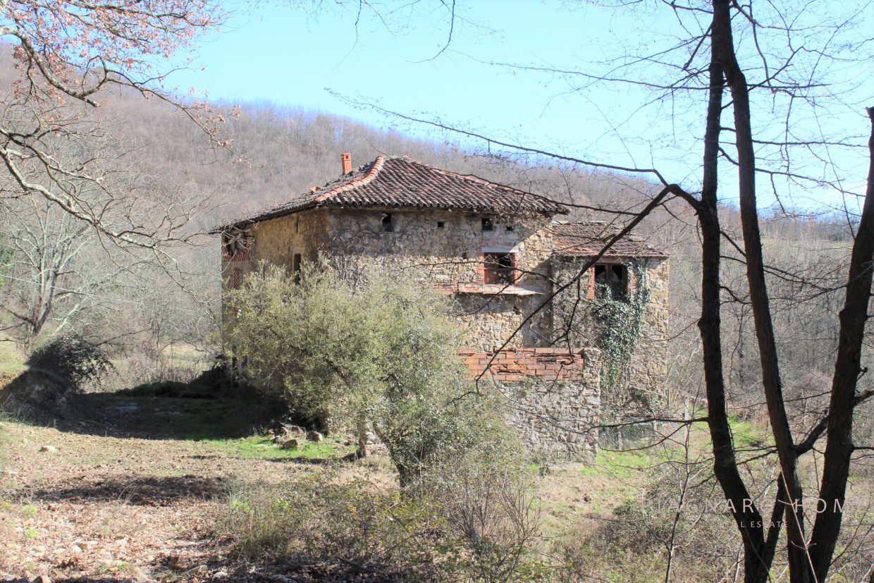 Foto annuncio 7