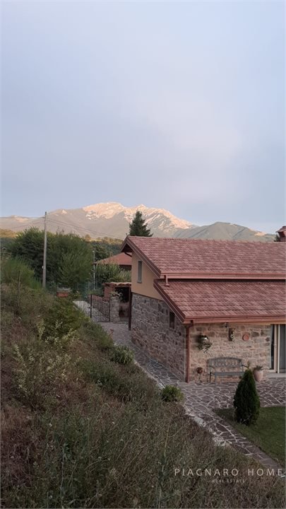 Foto annuncio 10
