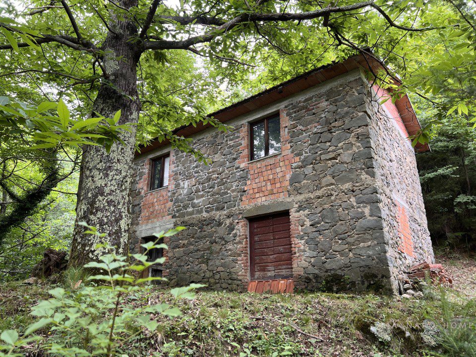Foto annuncio 1