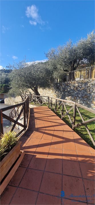 Foto annuncio 10