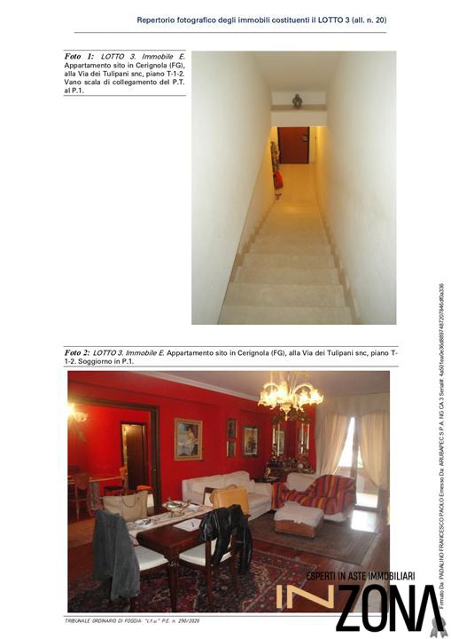 Foto annuncio 10