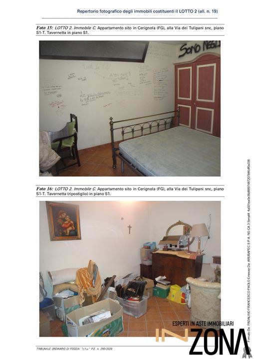 Foto annuncio 7