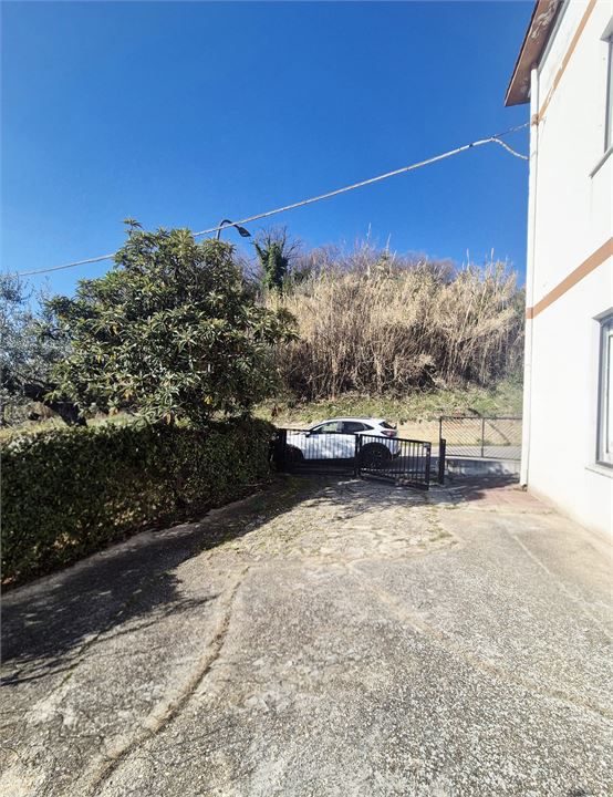 Foto annuncio 8