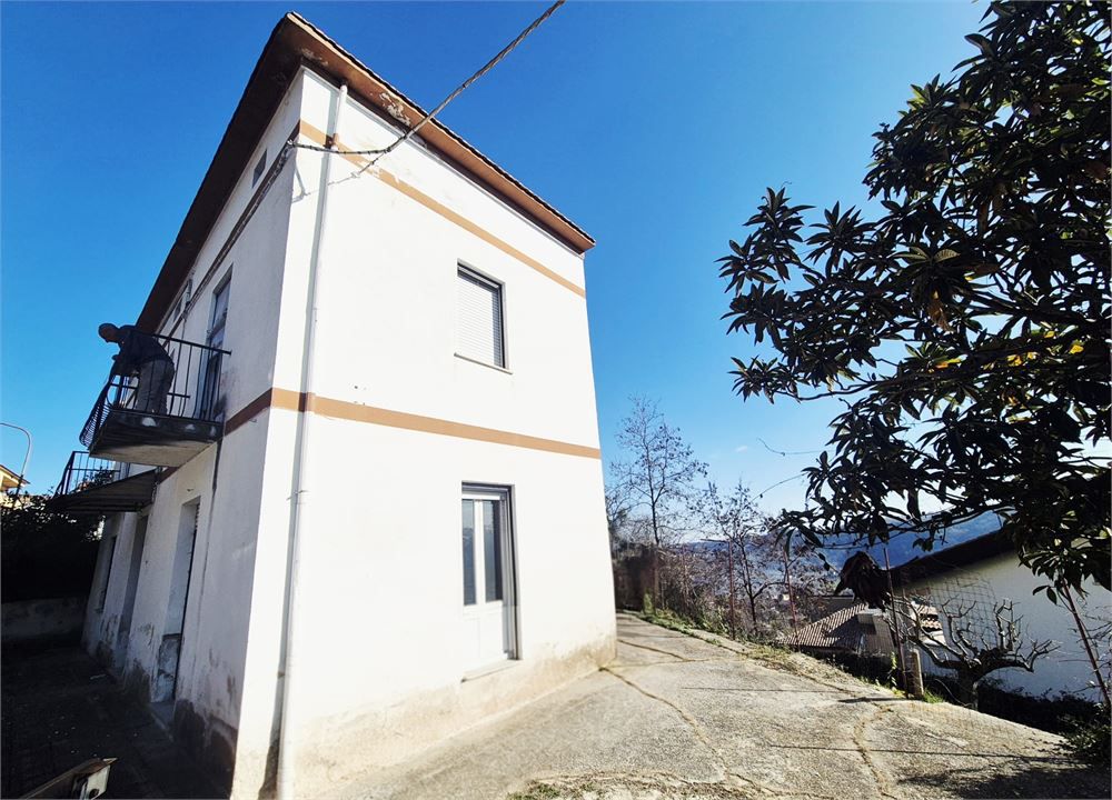 Foto annuncio 5