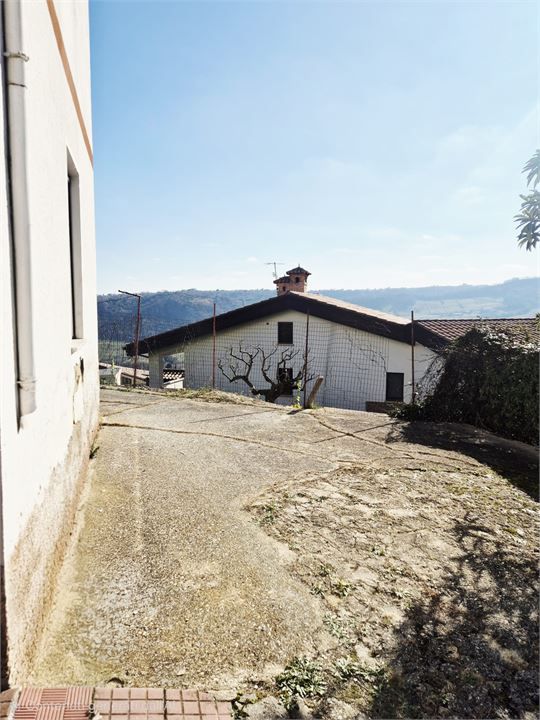 Foto annuncio 7