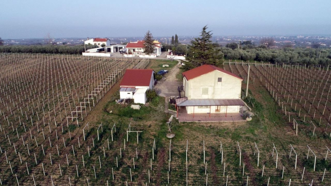 Foto annuncio 1