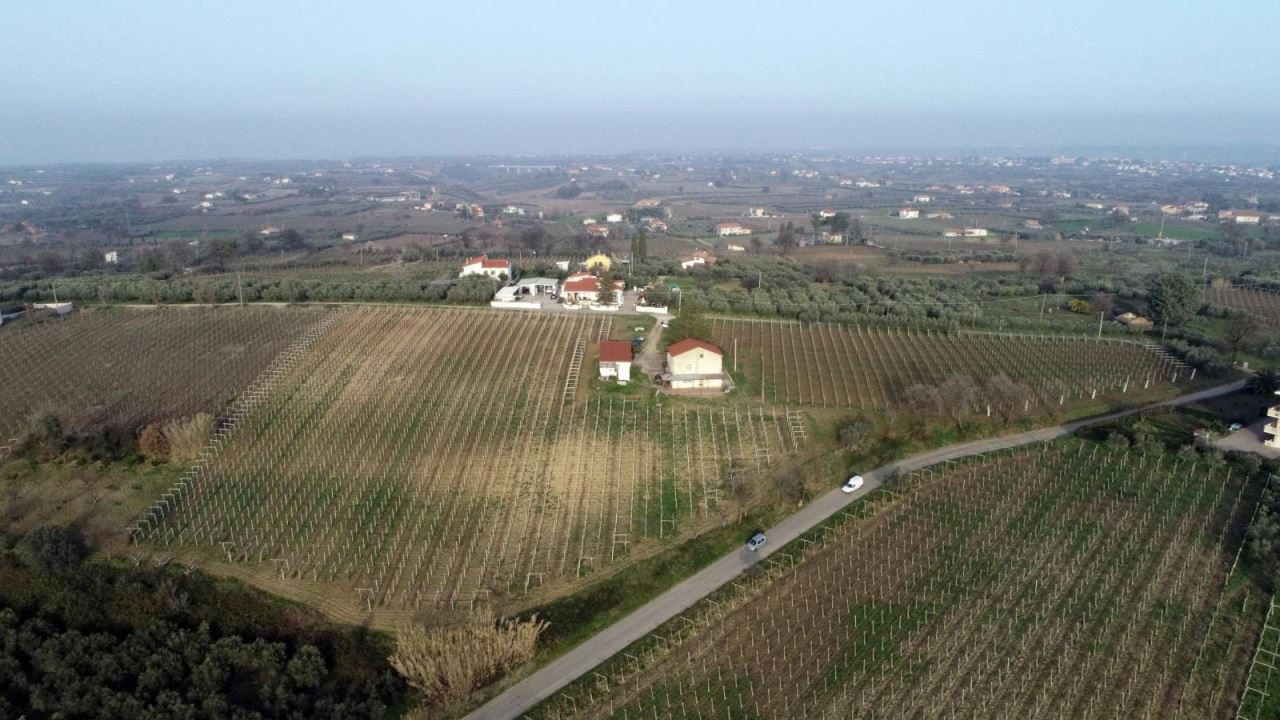 Foto annuncio 8