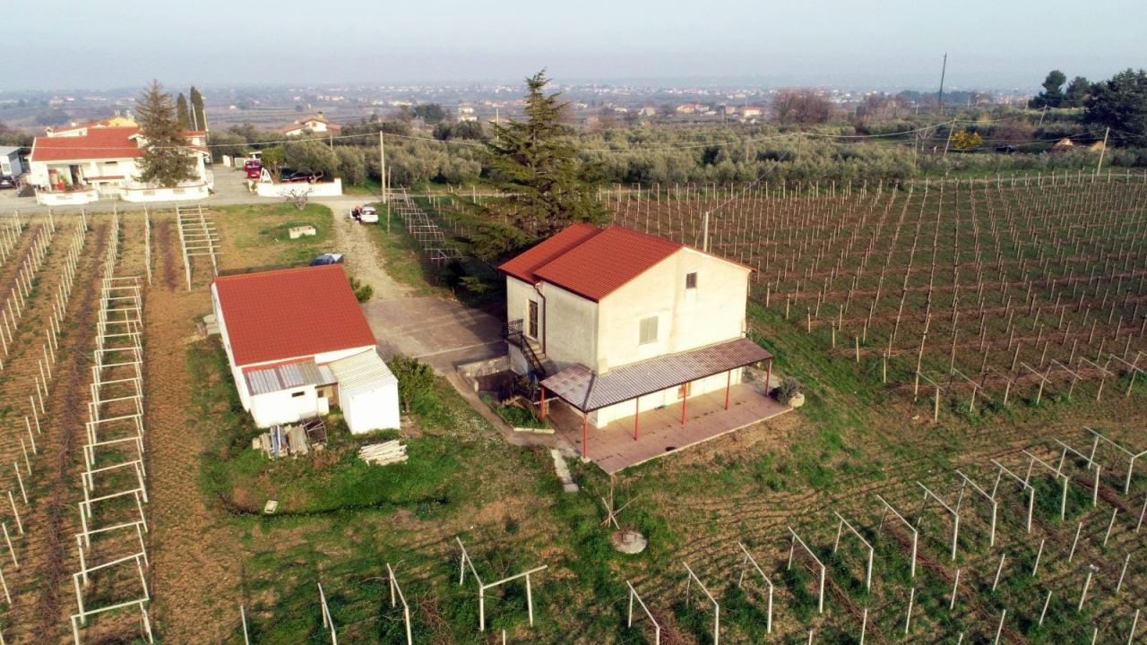 Foto annuncio 4
