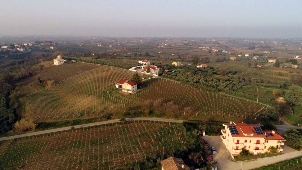 Foto annuncio 5