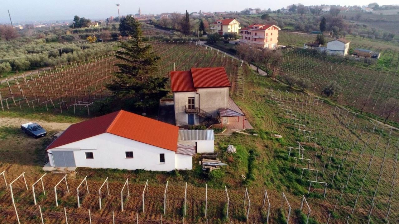 Foto annuncio 2