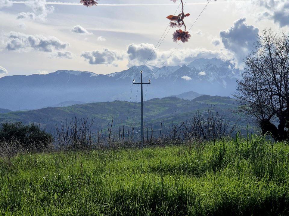 Foto annuncio 1