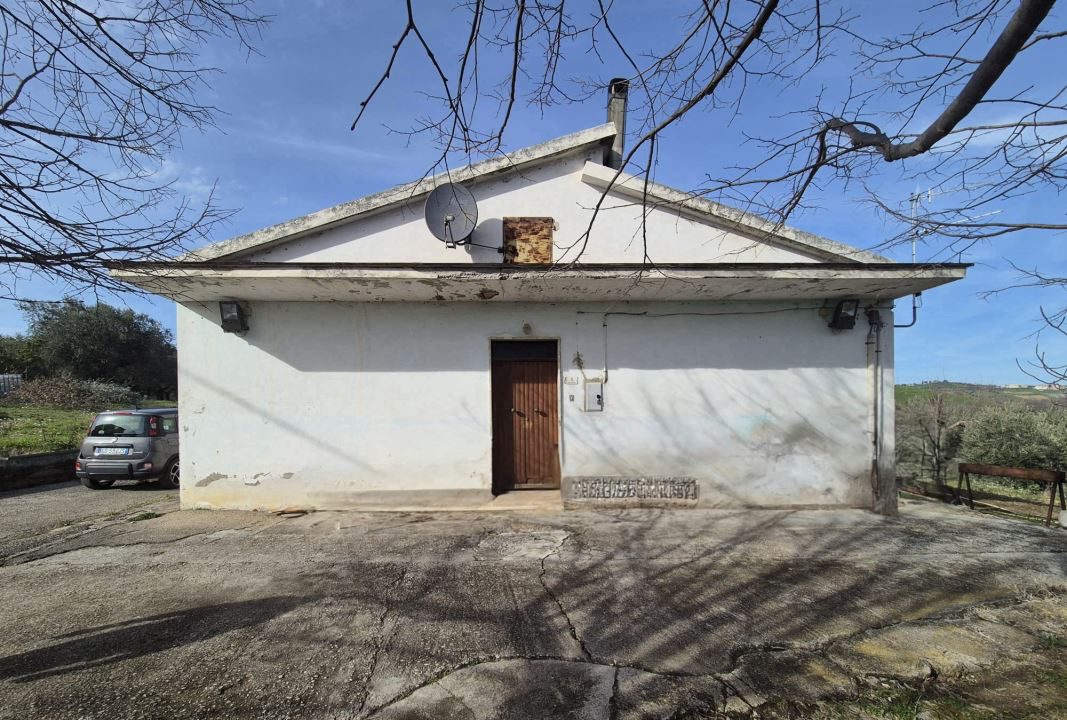 Foto annuncio 3