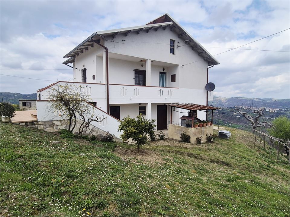 Foto annuncio 1