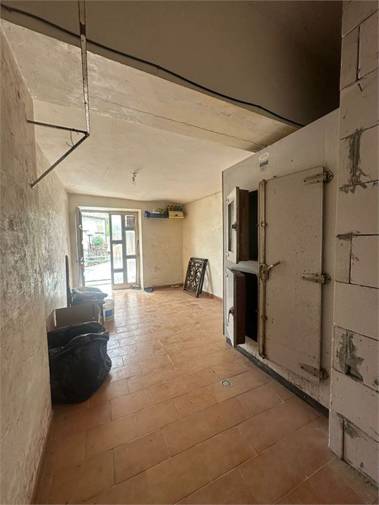Foto annuncio 6