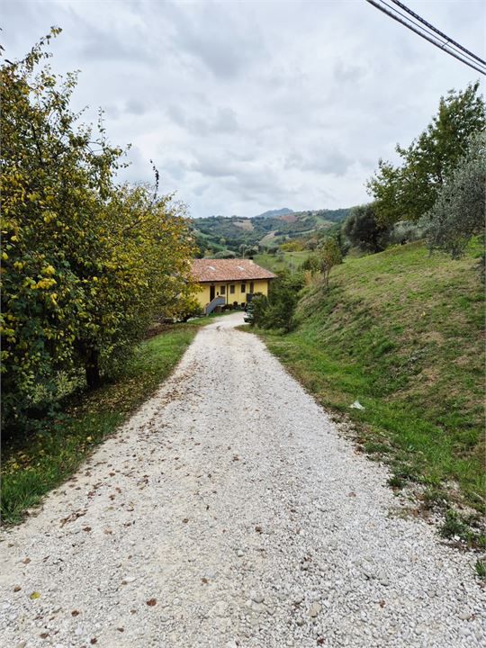 Foto annuncio 1