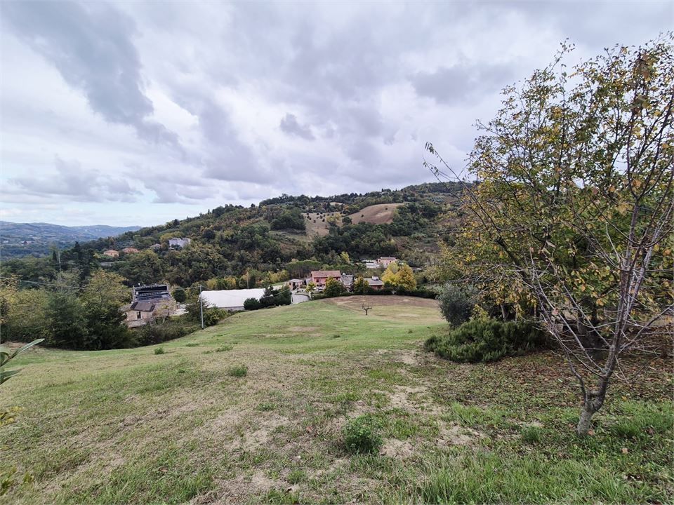 Foto annuncio 8