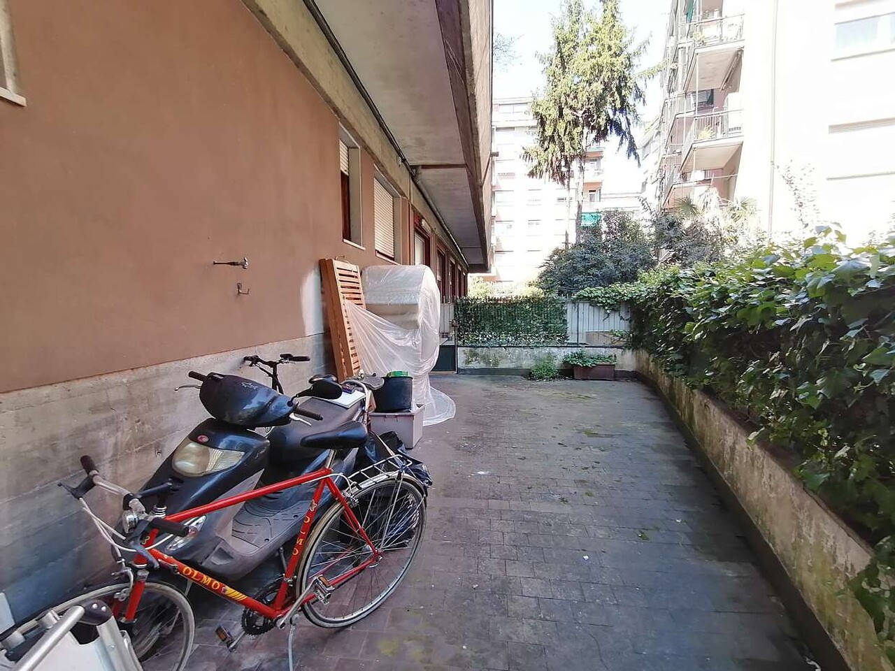 Foto annuncio 7
