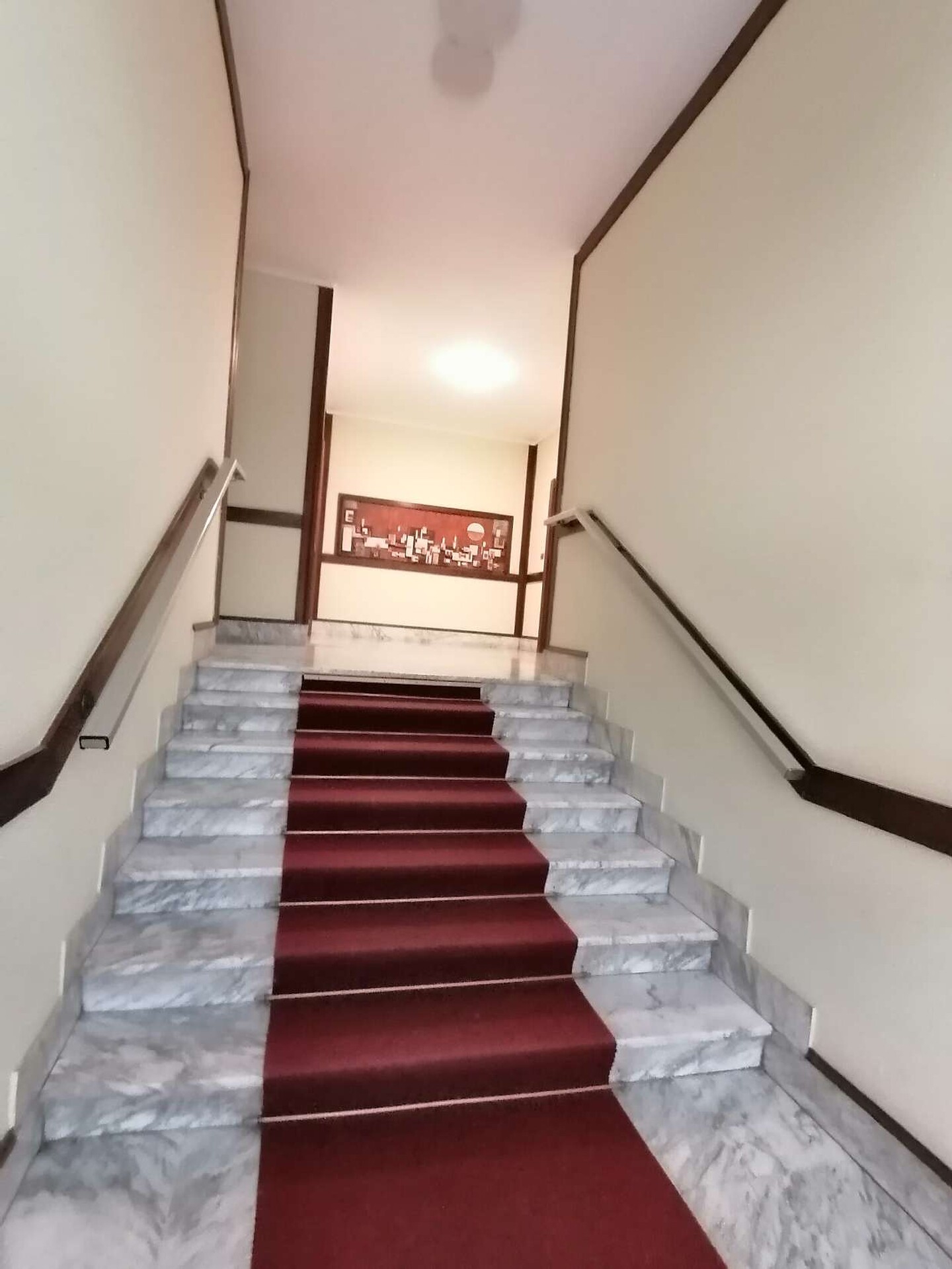 Foto annuncio 10