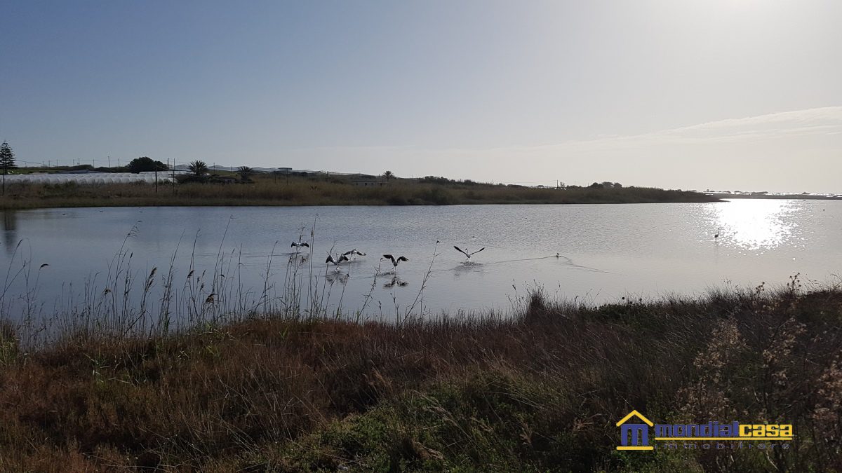 Immagine 10 di Rustico / casale in vendita  a Pachino