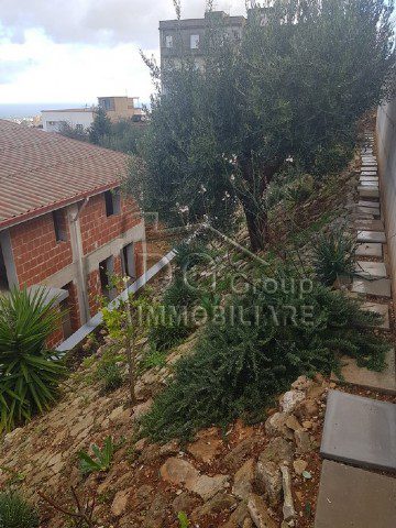 Foto annuncio 7