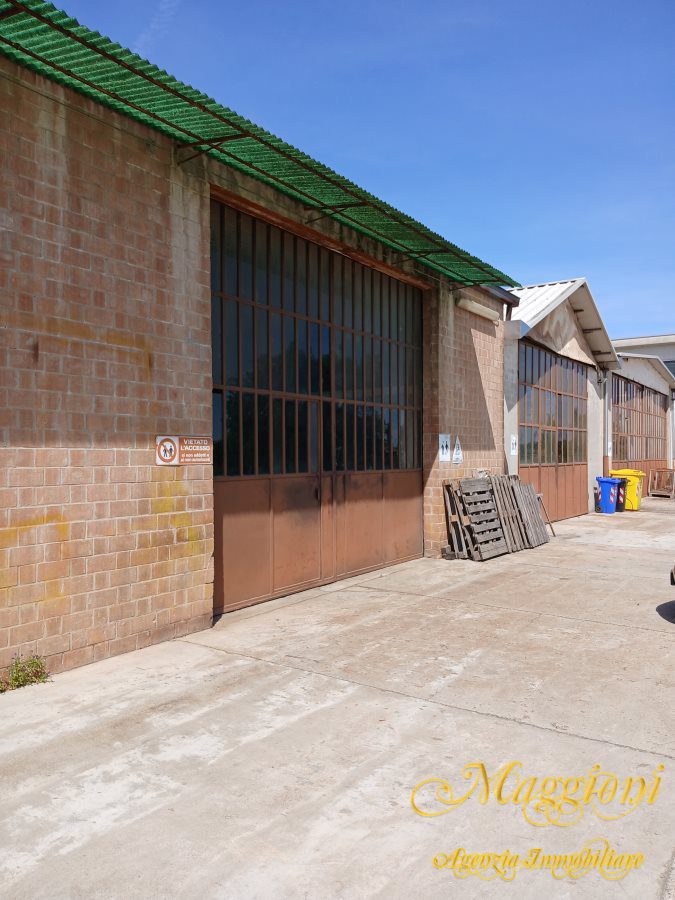 Foto annuncio 7
