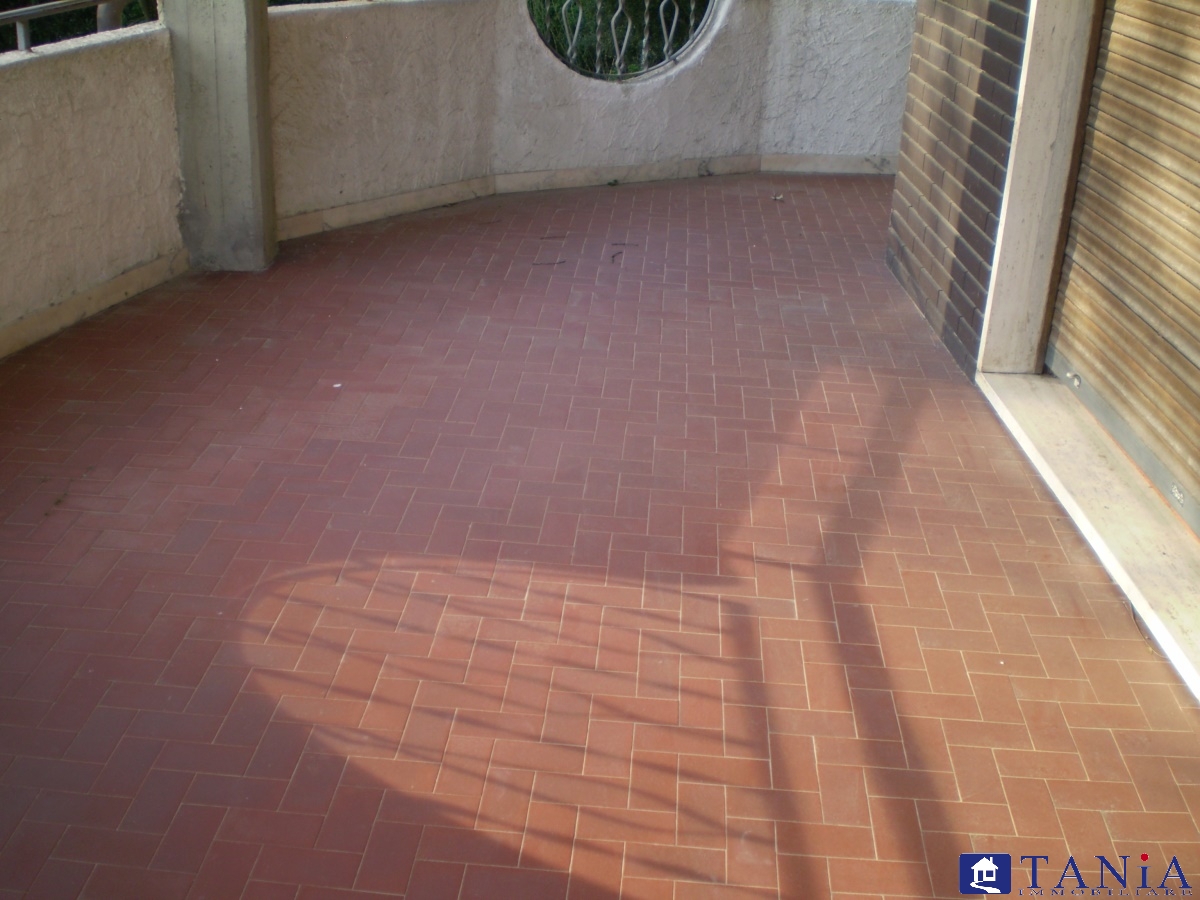 Immagine 8 di Casa indipendente in vendita  a Carrara