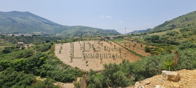 Immagine 4 di Villa in vendita  a Castellammare Del Golfo