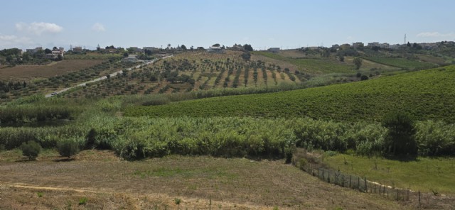 Immagine 7 di Appartamento in vendita  a Alcamo