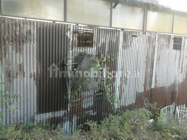 Immagine 2 di Terreno edificabile in vendita  a Napoli