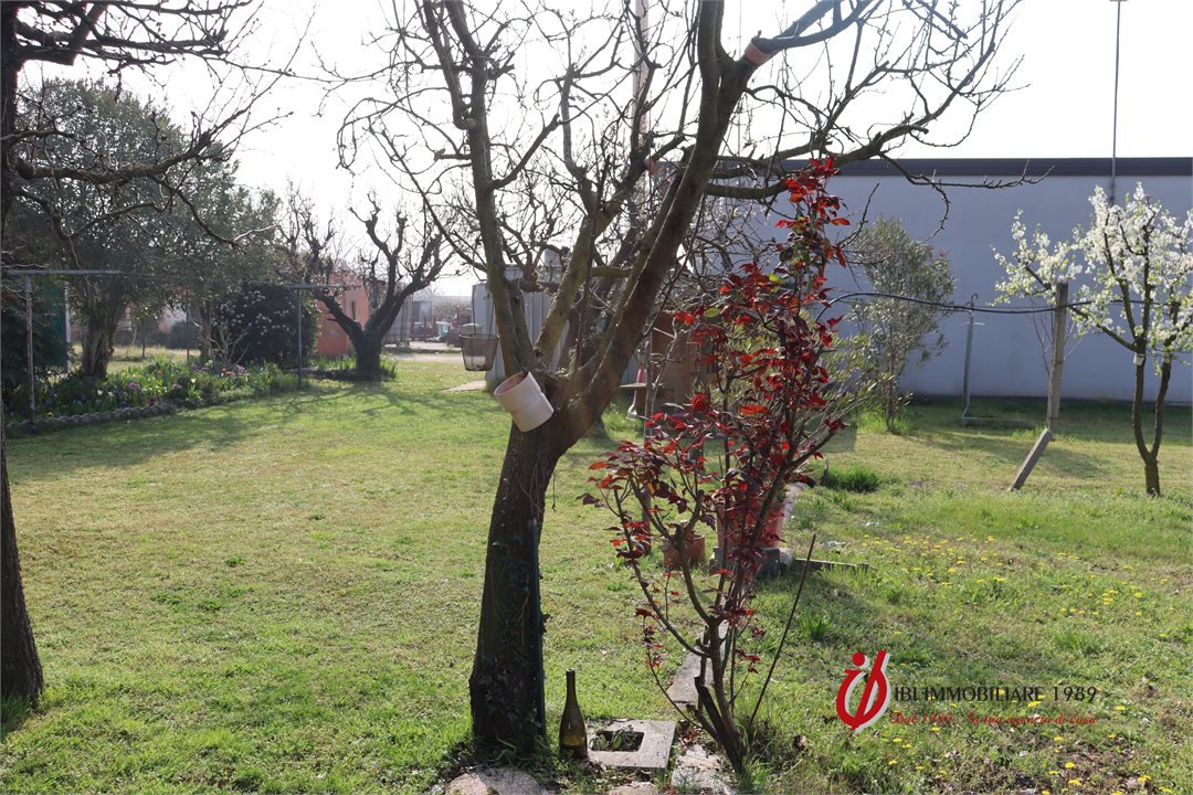 Immagine 5 di Casa semindipendente in vendita  a Buttapietra