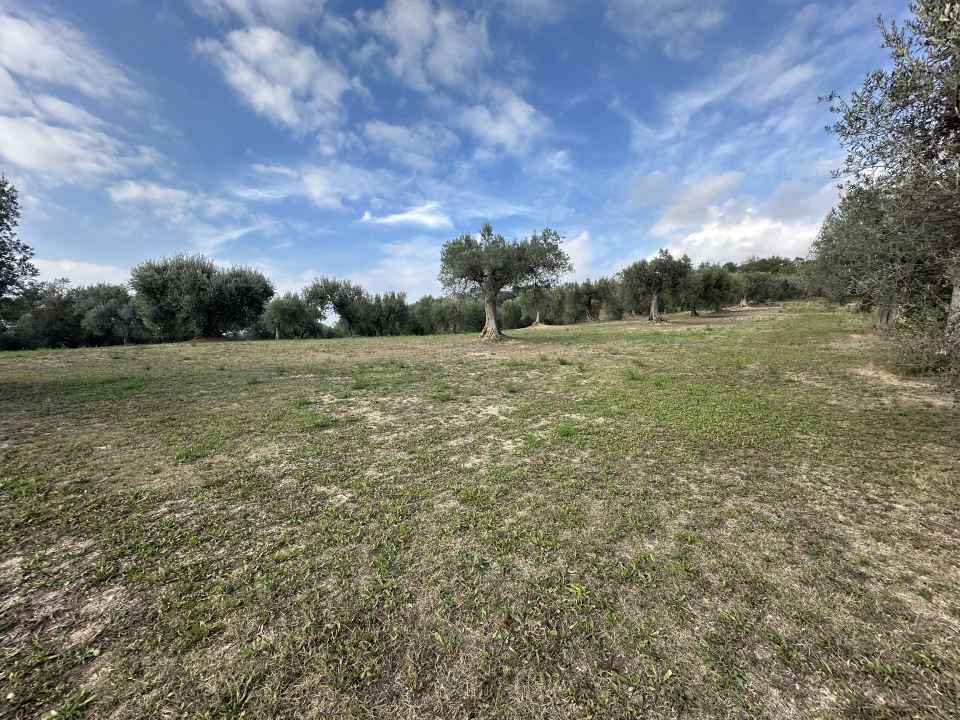 Immagine 10 di Villa in vendita  snc a Canzano