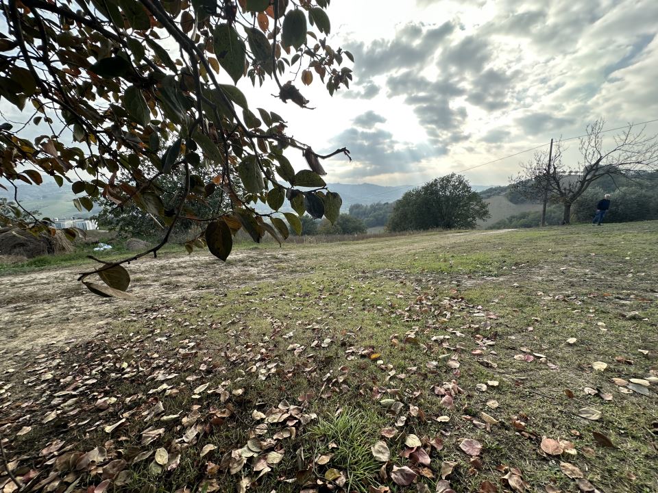 Immagine 8 di Villa in vendita  snc a Canzano