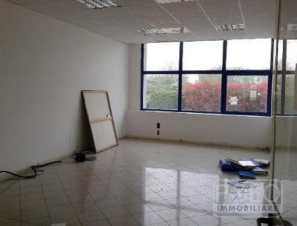 Immagine 6 di Capannone industriale in vendita  13 a Volongo